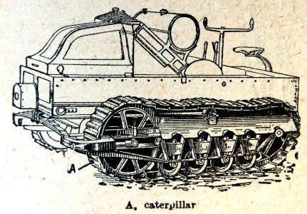 Caterpillar