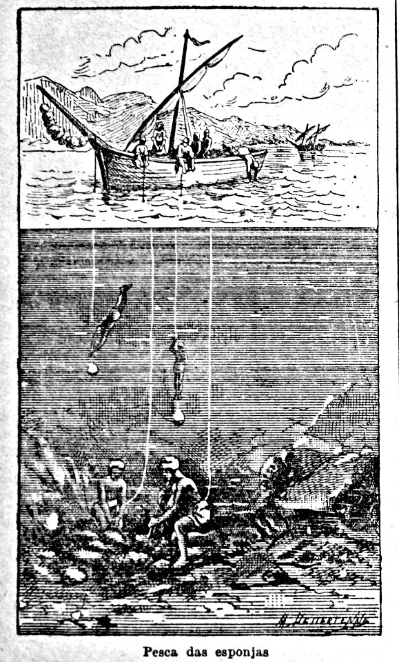 "Pesca das esponjas".