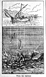 "Pesca das esponjas".