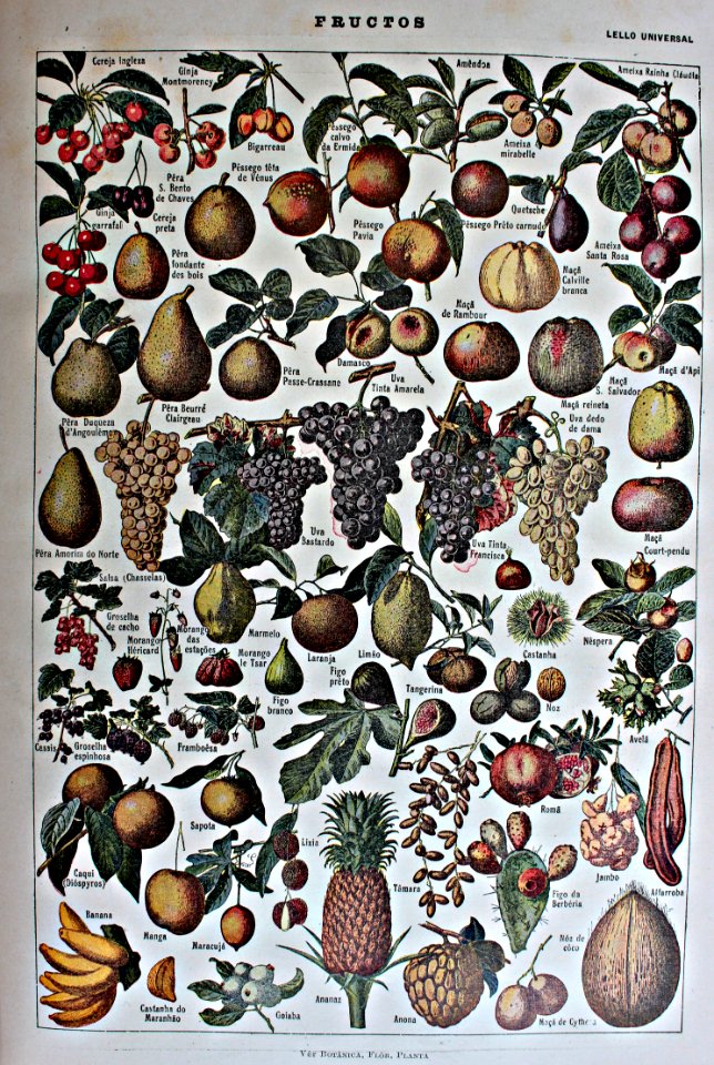 "Fructos".