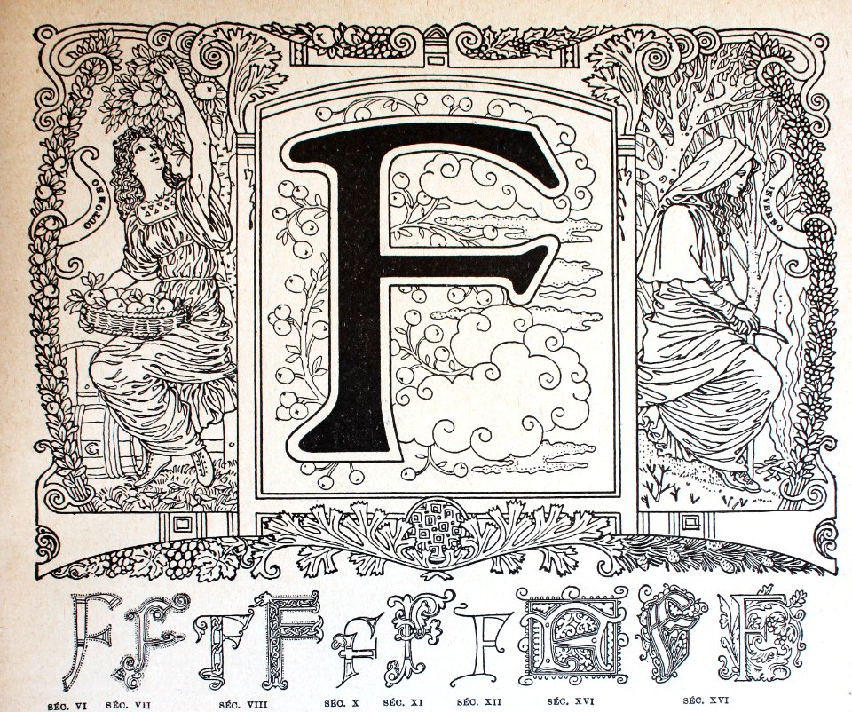 "Letra F"