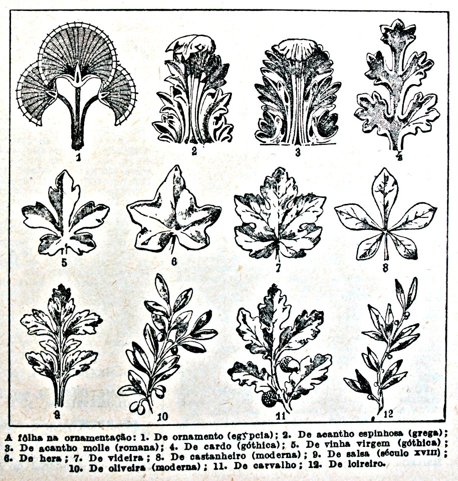 "A fôlha na ornamentação".