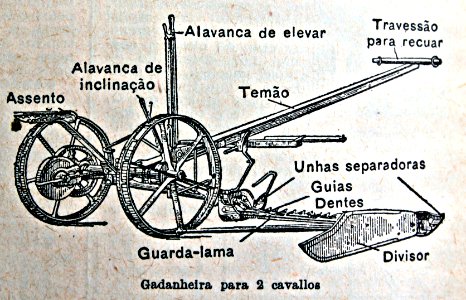 "Gadanheira para 2 cavallos".