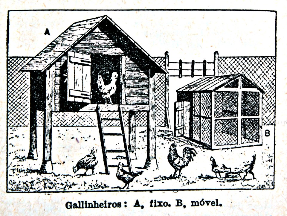"Gallinheiros".