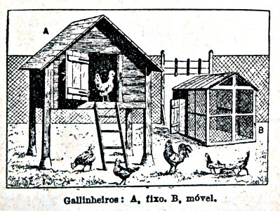 "Gallinheiros".