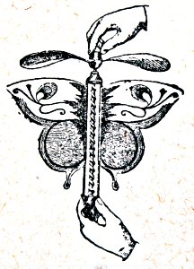 "Helicóptero".