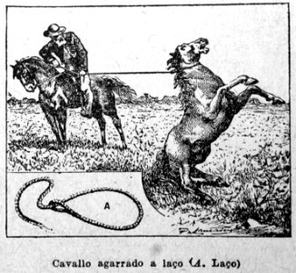 "Cavallo agarrado a laço".