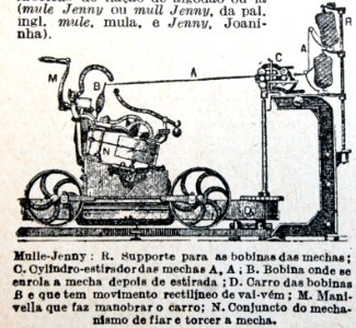"Mulle-Jenny".