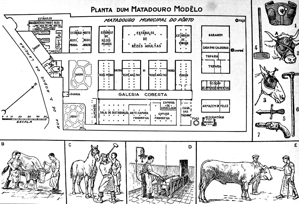 "Matadouro".