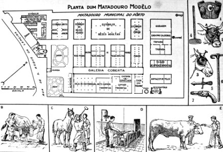 "Matadouro".