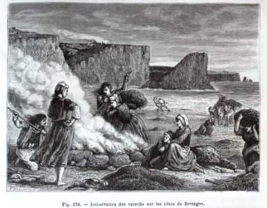 "Incinération des varechs sur les côtes de Bretagne".. Free illustration for personal and commercial use.