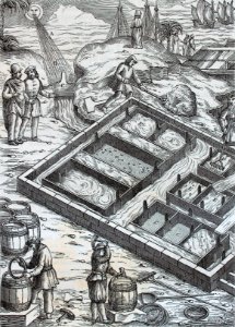 "Una marais salant au XVIe siècle".