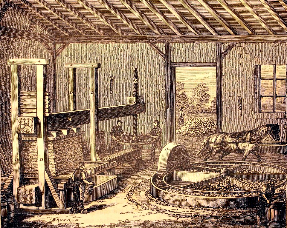 "Tour a piler les pommes et ancien pressoir à cidre de la …