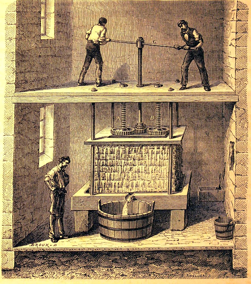 "Pressoir à cidre, à double vis de fer".