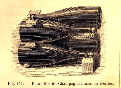 "Bouteilles de Champagne mises en treilles"