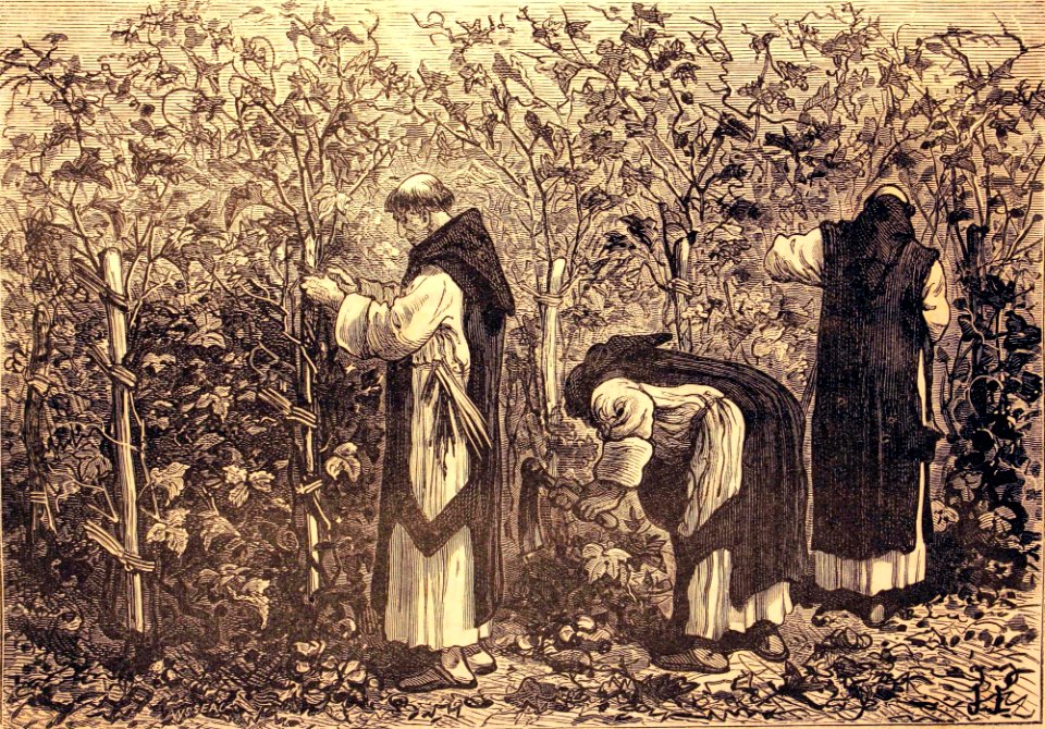 "Les moines bourguignons cultivant la vigne, au moyen âge"…