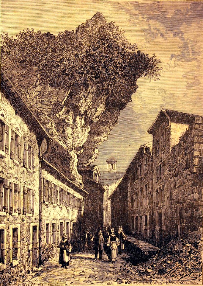 "La rue des caves, à Roquefort".