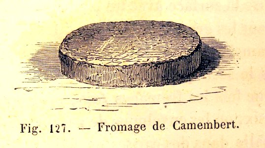 "Fromage de Camembert".. Free illustration for personal and commercial use.