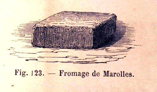 "Fromage de Marolles".. Free illustration for personal and commercial use.