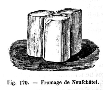 "Fromage de Neufchàtel".. Free illustration for personal and commercial use.