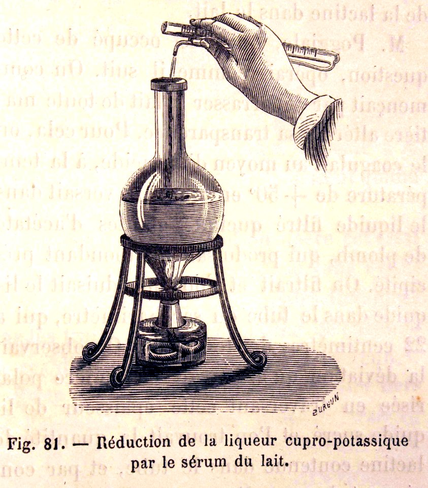"Réduction de la liqueur cupro-potassique par le sérum du …