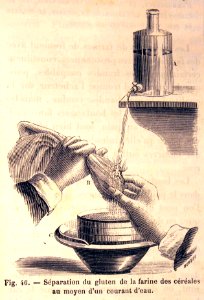 "Separation du gluten de la farine des céréales au moyen d…. Free illustration for personal and commercial use.