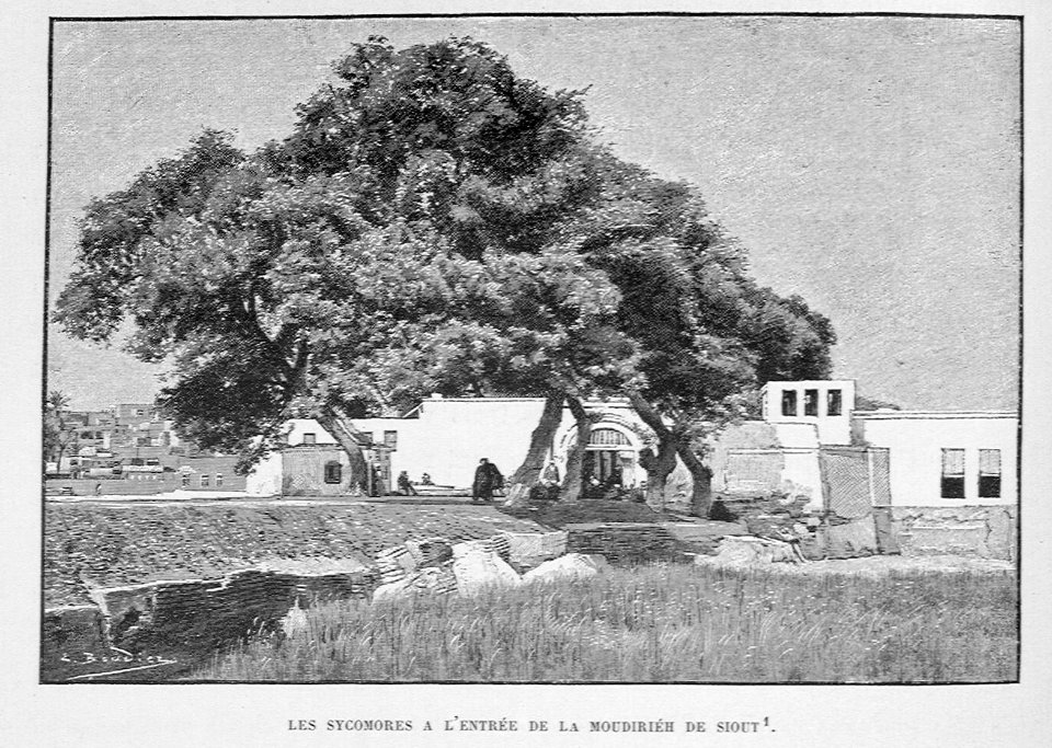 HHaAntigua935MASHis1_0039