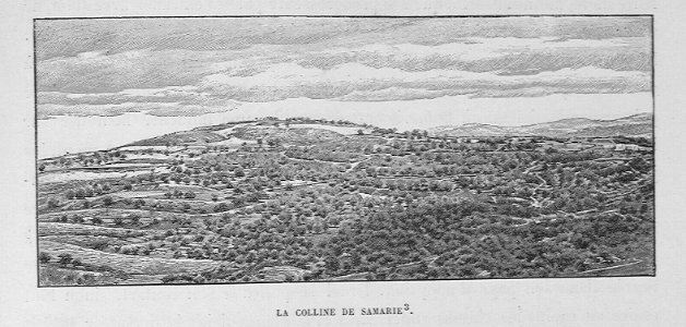 HaAntigua935MASHis2_0796