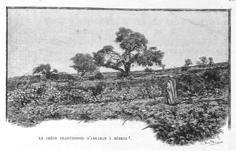 HaAntigua935MASHis2_0078
