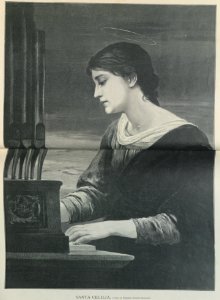 AE146N375_0005
