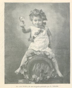 AE146N414_0003