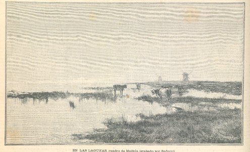 AE146N416_0007