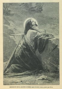 AE146N431_0000