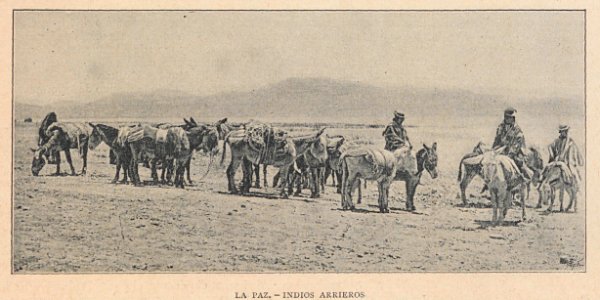 AE148N448_0003_03