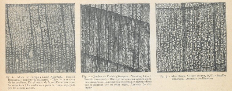 AE148N449_0010
