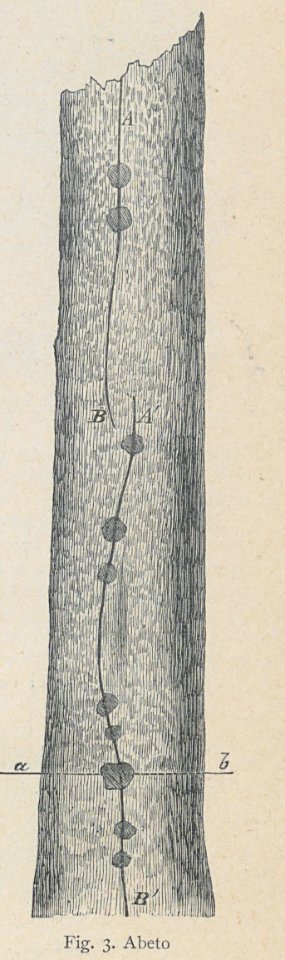 AE148N470_0012_03