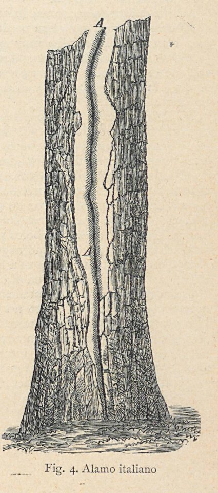 AE148N470_0012_04