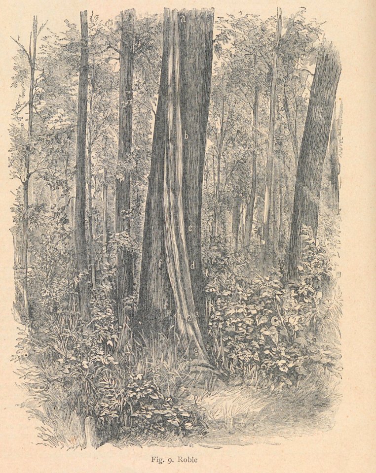 AE148N470_0013_04