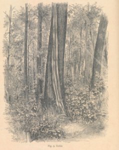 AE148N470_0013_04