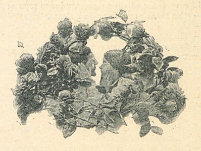 AE149N479_0013_02