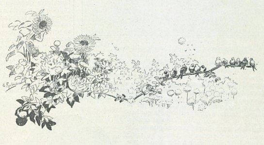 AE149N492_0014_02