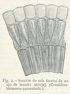 AE149N493_0011_02