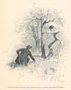 AE149N496_0011