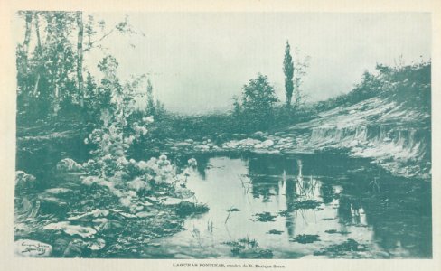 AE149N499_0008