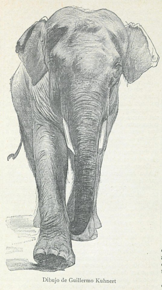 AE149N502_0002_02