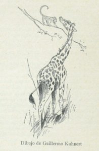 AE149N502_0002_03