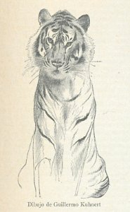 AE149N502_0002