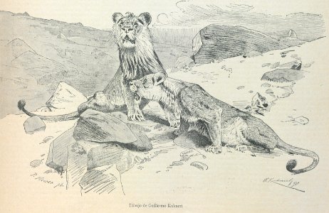 AE149N502_0002_04