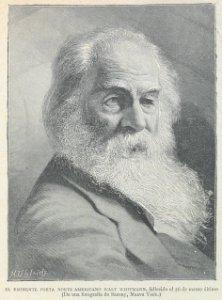 AE150N539_0006