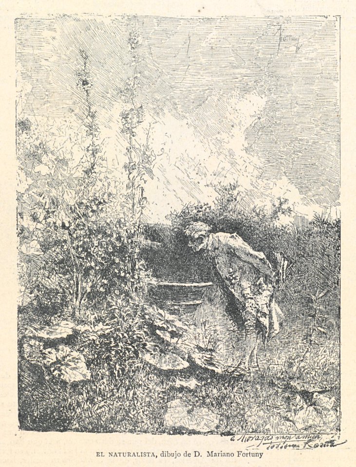 AE150N559_0003